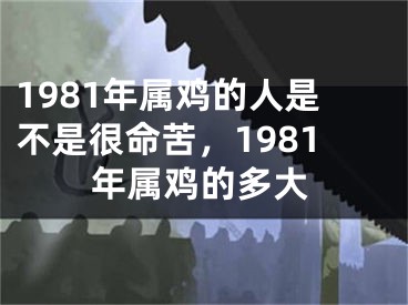 1981年属鸡的人是不是很命苦，1981年属鸡的多大
