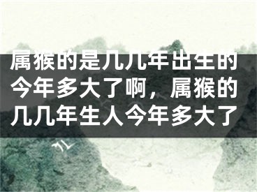 属猴的是几几年出生的今年多大了啊，属猴的几几年生人今年多大了