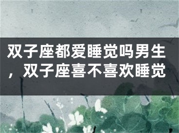 双子座都爱睡觉吗男生,双子座喜不喜欢睡觉