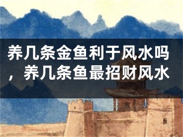 养几条金鱼利于风水吗，养几条鱼最招财风水
