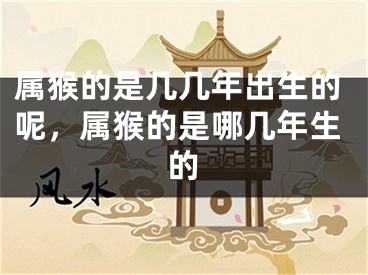 属猴的是几几年出生的呢，属猴的是哪几年生的
