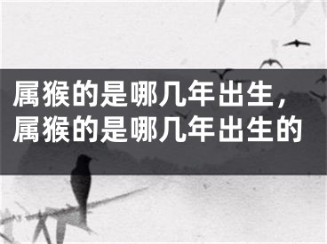 属猴的是哪几年出生，属猴的是哪几年出生的