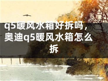 q5暖风水箱好拆吗，奥迪q5暖风水箱怎么拆