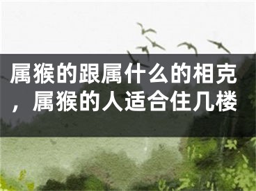 属猴的跟属什么的相克，属猴的人适合住几楼