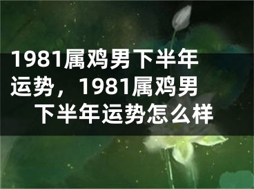 1981属鸡男下半年运势，1981属鸡男下半年运势怎么样