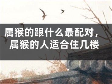 属猴的跟什么最配对，属猴的人适合住几楼