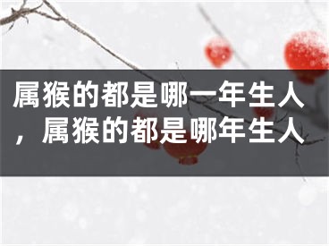 属猴的都是哪一年生人,属猴的都是哪年生人