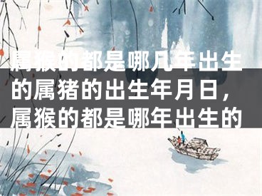 属猴的都是哪几年出生的属猪的出生年月日，属猴的都是哪年出生的