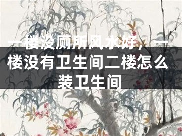 一楼没厕所风水好，一楼没有卫生间二楼怎么装卫生间
