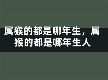 属猴的都是哪年生,属猴的都是哪年生人