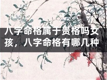 八字命格属于贵格吗女孩，八字命格有哪几种