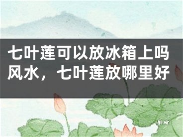 七叶莲可以放冰箱上吗风水,七叶莲放哪里好