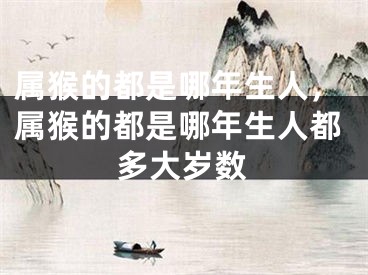 属猴的都是哪年生人,属猴的都是哪年生人都多大岁数