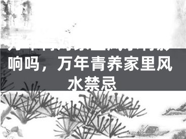 万年青对家里风水有影响吗，万年青养家里风水禁忌