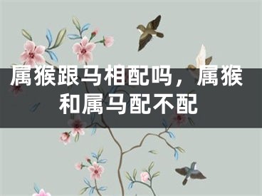 属猴跟马相配吗,属猴和属马配不配