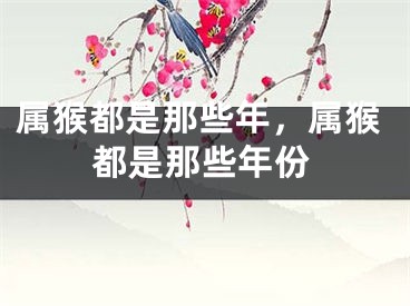 属猴都是那些年，属猴都是那些年份