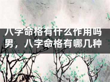 八字命格有什么作用吗男，八字命格有哪几种