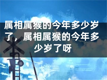 属相属猴的今年多少岁了，属相属猴的今年多少岁了呀