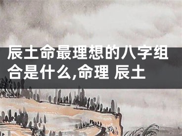 辰土命最理想的八字组合是什么,命理 辰土