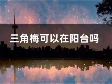 三角梅可以在阳台吗