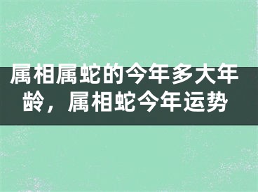 属相属蛇的今年多大年龄，属相蛇今年运势