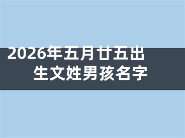 2026年五月廿五出生文姓男孩名字