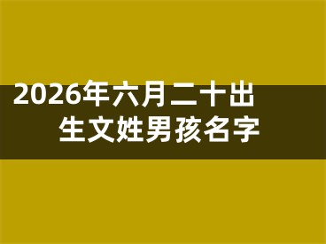 2026年六月二十出生文姓男孩名字