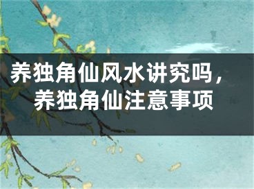 养独角仙风水讲究吗,养独角仙注意事项