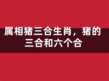 属相猪三合生肖，猪的三合和六个合