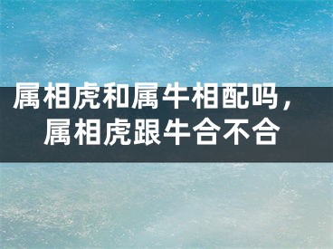 属相虎和属牛相配吗,属相虎跟牛合不合