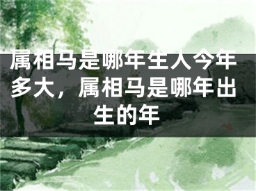 属相马是哪年生人今年多大，属相马是哪年出生的年