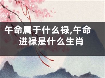 午命属于什么禄,午命进禄是什么生肖