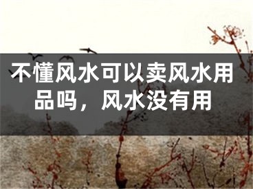 不懂风水可以卖风水用品吗,风水没有用