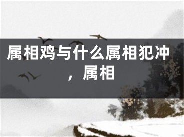 属相鸡与什么属相犯冲,属相