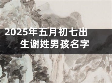 2025年五月初七出生谢姓男孩名字