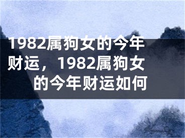 1982属狗女的今年财运，1982属狗女的今年财运如何