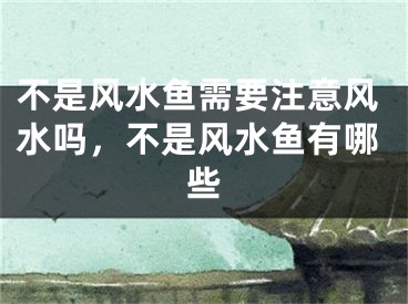 不是风水鱼需要注意风水吗，不是风水鱼有哪些