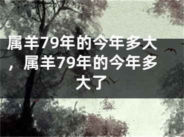 属羊79年的今年多大，属羊79年的今年多大了