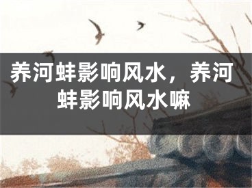 养河蚌影响风水，养河蚌影响风水嘛