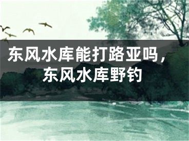 东风水库能打路亚吗，东风水库野钓
