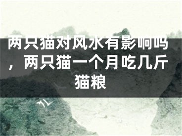 两只猫对风水有影响吗，两只猫一个月吃几斤猫粮