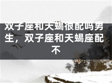 双子座和天蝎很配吗男生，双子座和天蝎座配不