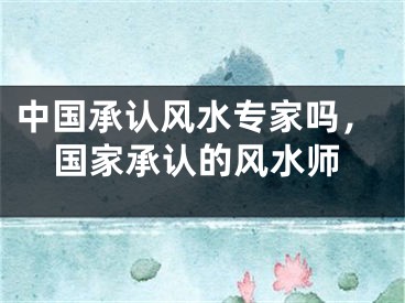 中国承认风水专家吗，国家承认的风水师