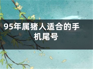95年属猪人适合的手机尾号