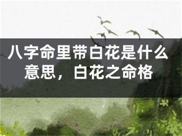 八字命里带白花是什么意思，白花之命格