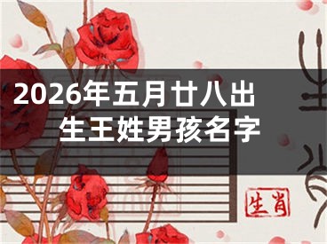 2026年五月廿八出生王姓男孩名字
