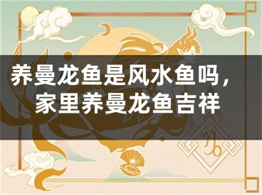 养曼龙鱼是风水鱼吗,家里养曼龙鱼吉祥