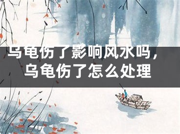 乌龟伤了影响风水吗，乌龟伤了怎么处理