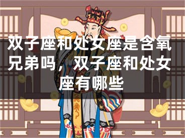 双子座和处女座是含氧兄弟吗,双子座和处女座有哪些