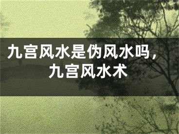 九宫风水是伪风水吗，九宫风水术
